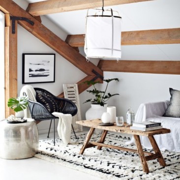 un-salon-style-scandinave-design-d-intrieur-dcoration-decoration-maison-de-luxe